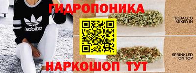 СК Партизанск