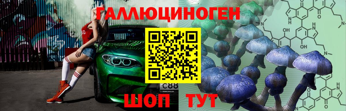 Псилоцибиновые грибы Psilocybine cubensis Элиста