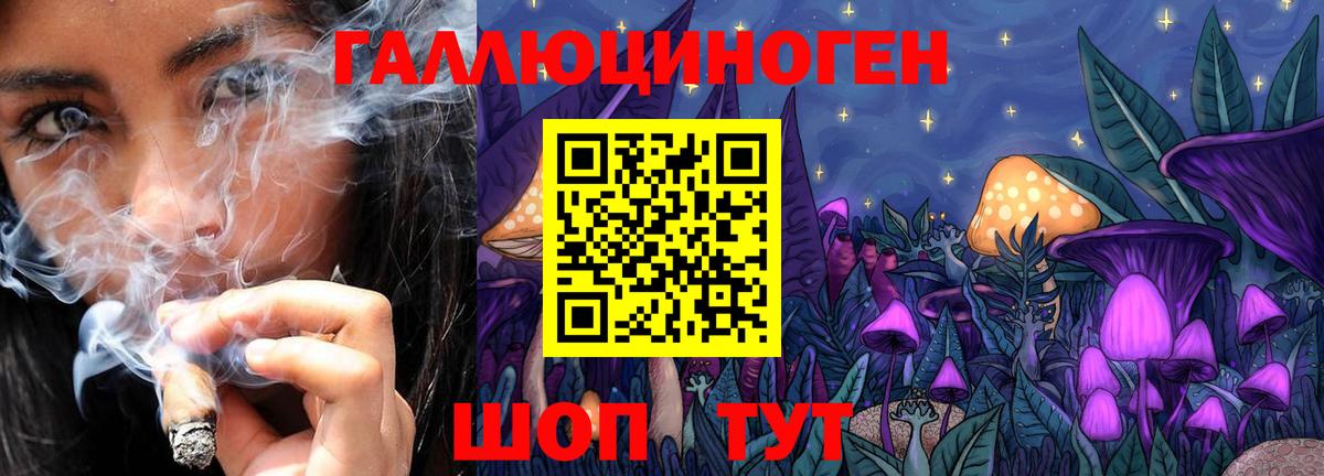Элиста  Галлюциногенные грибы Magic Shrooms  Псилоцибиновые грибы Magic Shrooms  Вход с VPN 