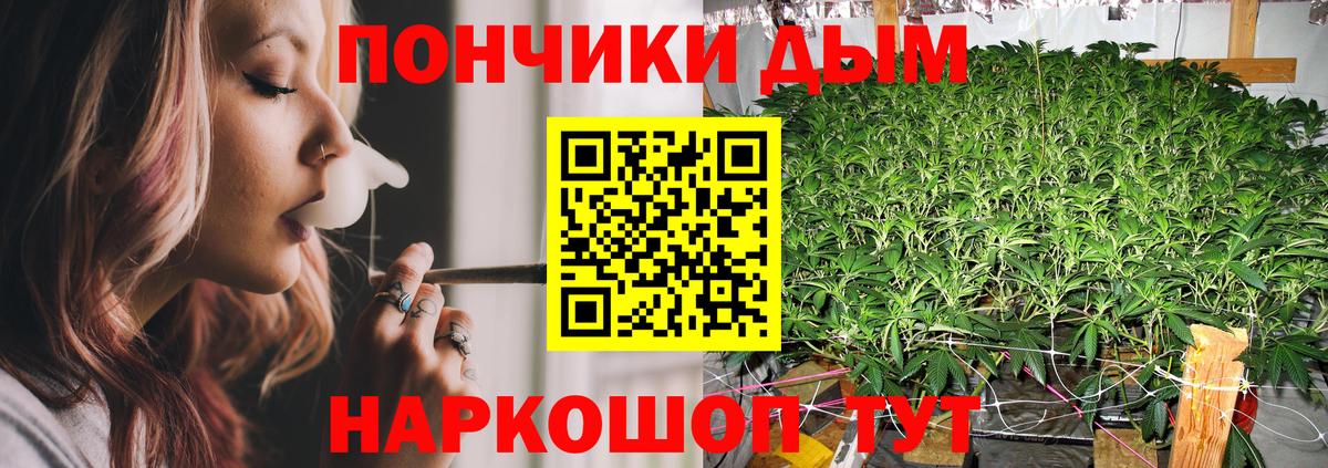 Бошки марихуана Ganja  Вход с VPN  Каннабис индика  Бошки марихуана OG Kush  Элиста 